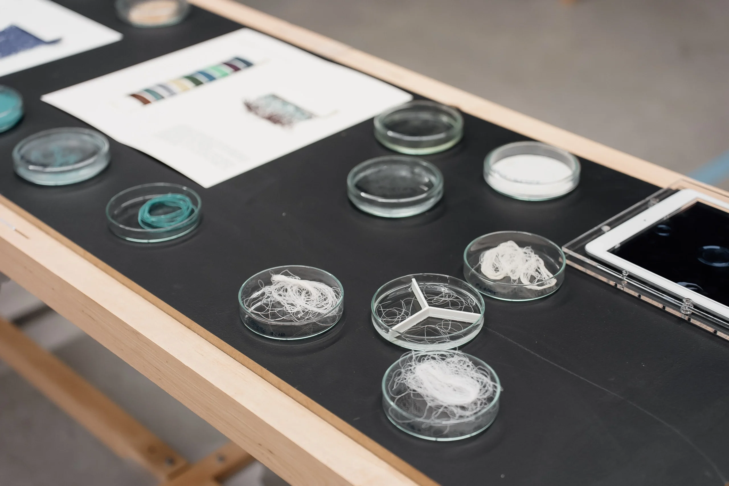 Incubation program, Lakos Máté